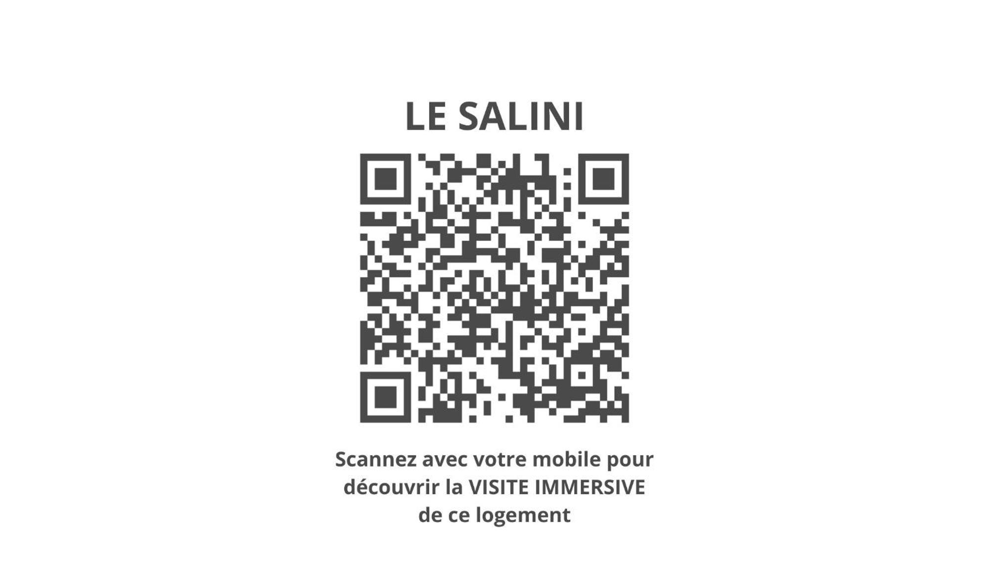 トゥールーズLe Saliniアパートメント エクステリア 写真